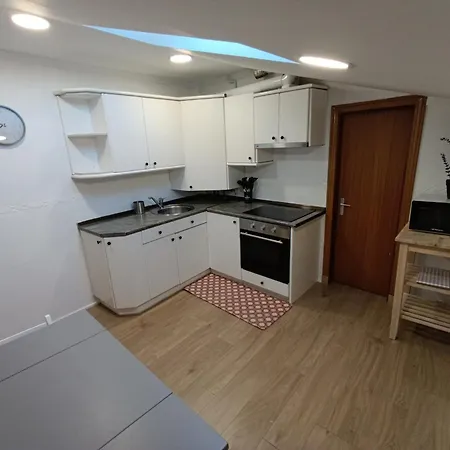 Lejlighed Atico Con Encanto 3 Dobles San Lorenzo Burgo